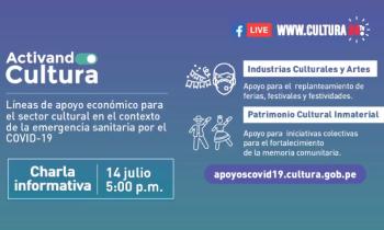 Líneas de apoyo económico para el sector cultural en el contexto de la emergencia sanitaria por el covid-19 - Industrias culturales y artes , patrimonio cultural inmaterial