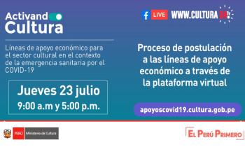 Líneas de apoyo económico para el sector cultural en el contexto de la emergencia sanitaria por el covid-19, procesos de postulación a las líneas de apoyo económico a través de la plataforma virtual - charla 2