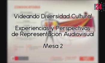 Videando Diversidad Cultural "Experiencias y Perspectivas de Representación Audiovisual" Mesa 2