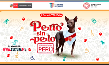 Declaratoria como patrimonio cultural de la nación del perro sin pelo del Perú