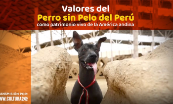 Valores del perro sin pelo del Perú - Patrimonio vivo de la América andina