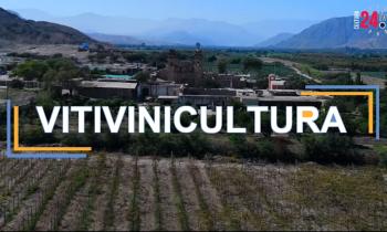 CNA 2021 - EXPOSICIÓN DE DOCUMENTALES - La Arqueología de la esclavitud en las haciendas de Nasca - Vitivinicultura - Dr. Brendan Weaver - 4